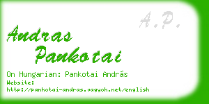 andras pankotai business card